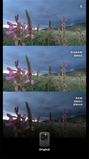 Dazz相机软件下载安装最新版