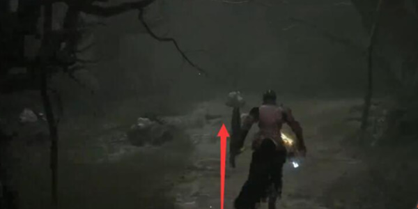 堕落之主血毒戒指怎么获取