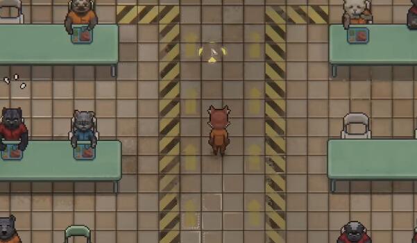 动物迷城受伤恢复攻略_动物迷城受伤如何恢复