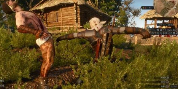 巫师3泰莫利亚宝藏任务怎么做