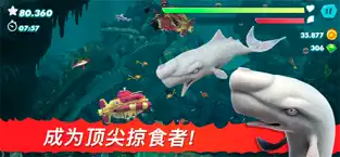 饥饿鲨进化官方版下载2023下载