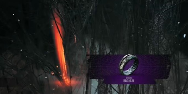 遗迹2报应戒指怎么获取