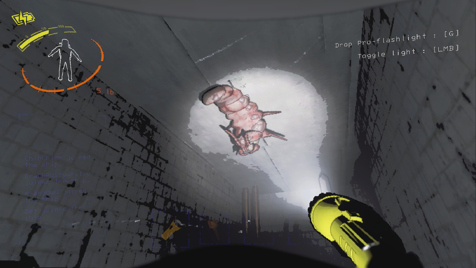 致命公司新手 跳蚤食脑虫 攻略方法_致命公司新手 跳蚤食脑虫 怎么攻略