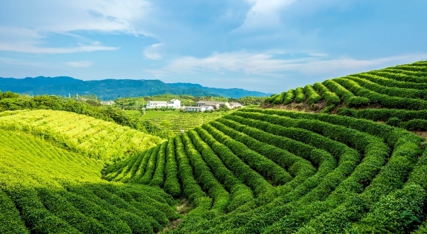 大学搜题酱有什么功能_大学搜题酱有哪些功能