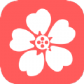 樱花视频编辑最新下载2024版