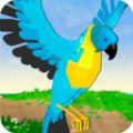 小小鹦鹉模拟器最新版下载