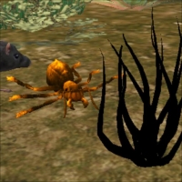 地球物种进化app最新版