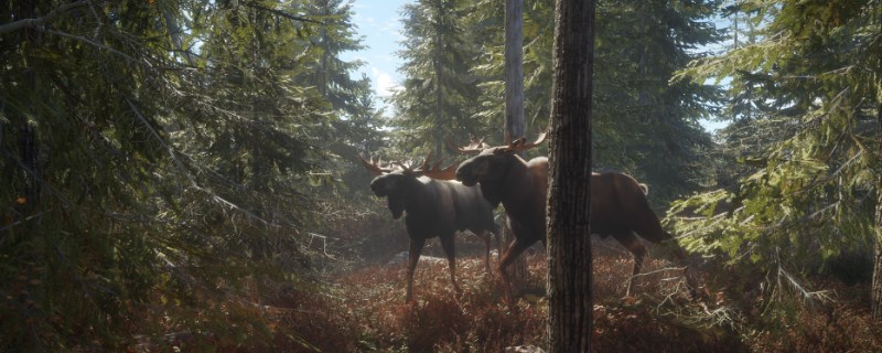 《猎人：荒野的呼唤》怎么抓雷文图里的驼鹿_《猎人：荒野的呼唤》雷文图里的驼鹿介绍