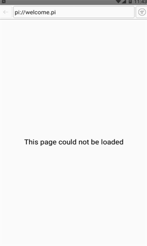 pi browser浏览器2024下载最新版本