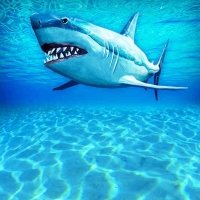 孤舟求生安卓2024下载安装