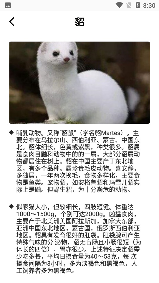 最强动物园苹果版