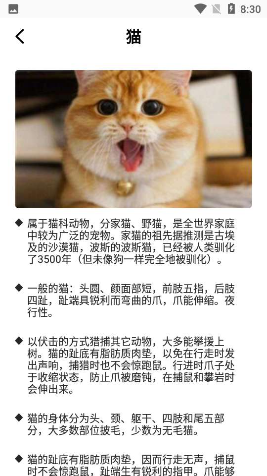 最强动物园苹果版