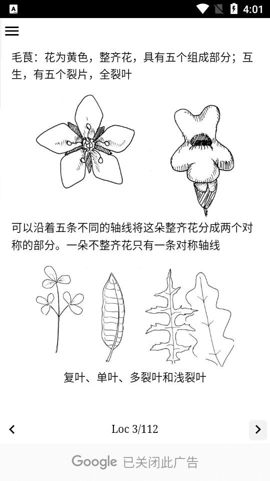 野外植物识别手册手机下载苹果版