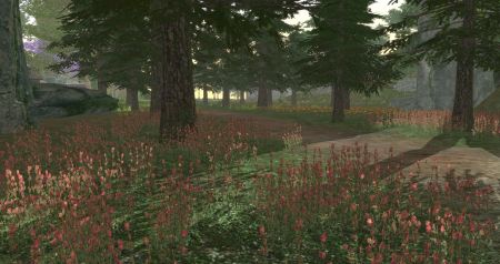 我穿越到灵界2024版下载