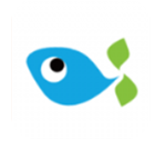 比特鱼矿池最新安卓版本