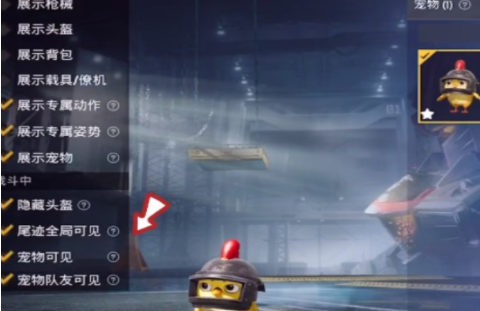 《和平精英》宠物系统玩法攻略