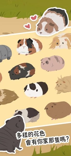 天竺鼠农场安卓app下载