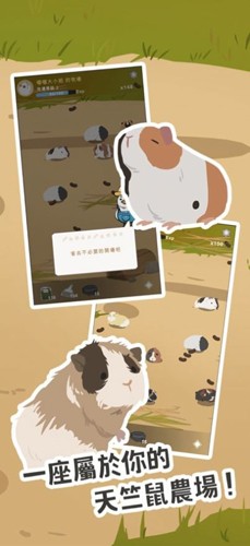 天竺鼠农场安卓app下载
