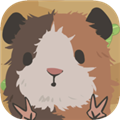天竺鼠农场安卓app下载