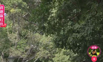 一键分享朋友圈软件