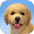 梦幻小狗最新下载安卓版