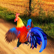 疯狂大跑酷2024版下载