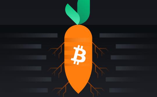 欧意交易所怎么转到Web3钱包