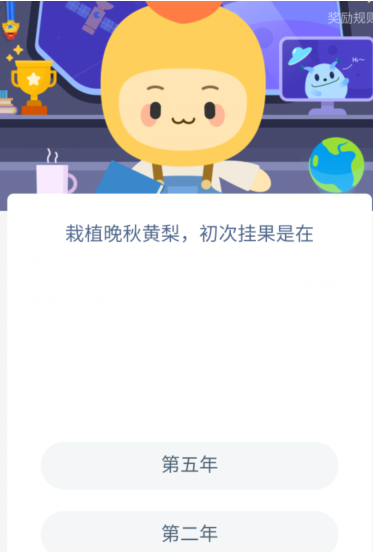 栽植晚秋黄梨，初次挂果是在