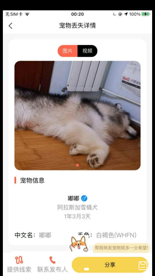 爱宠守护者手机版下载