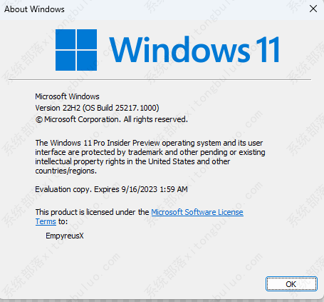 Windows  11 Insider  Preview  25217.1000 (rs_prerelease)原版iso镜像 V2022