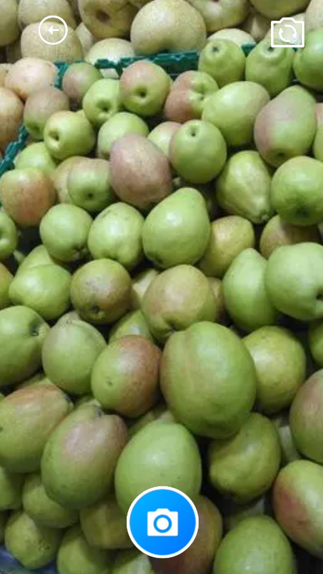 靓靓生活助手最新安卓2024下载