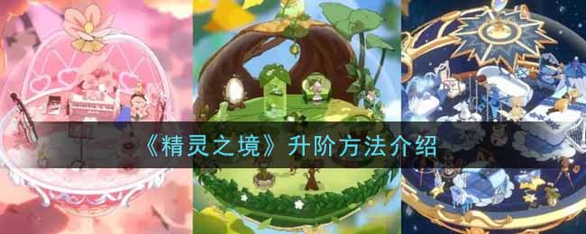 精灵之境升阶方法介绍