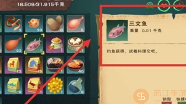 创造与魔法三文鱼食谱大全