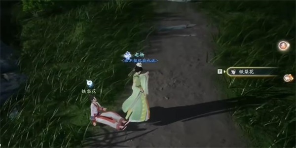 《射雕》寄梅怎么收集_《射雕》寄梅收集攻略