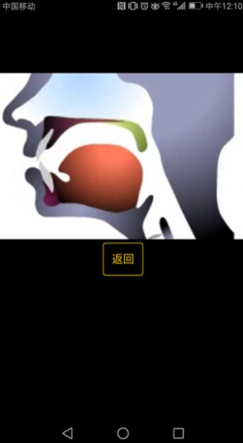 英语国际音标学习安卓版下载安装