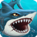 鲨鱼世界下载安卓版