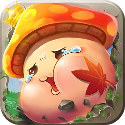 枫之大陆游戏下载安装2024