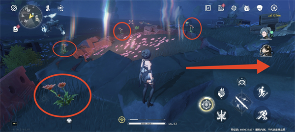 鸣潮妙弋花采集位置攻略_鸣潮妙弋花在哪采集