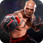 真实拳击2中文