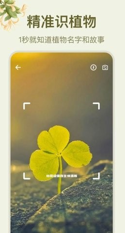 拍照识花大师安卓版最新