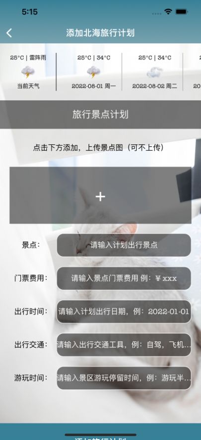 带上猫去旅行2024安卓最新下载