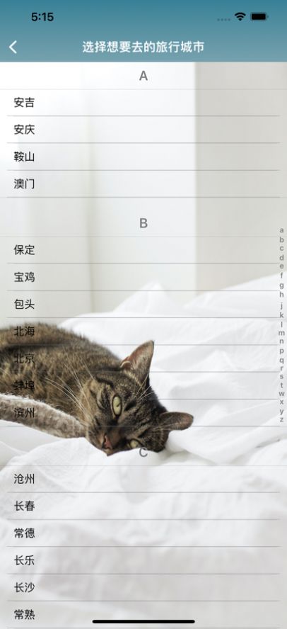 带上猫去旅行2024安卓最新下载