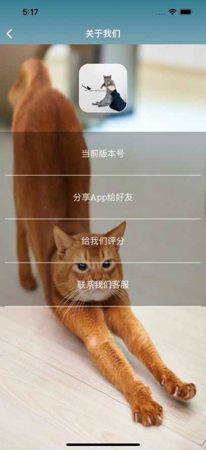 带上猫去旅行2024安卓最新下载