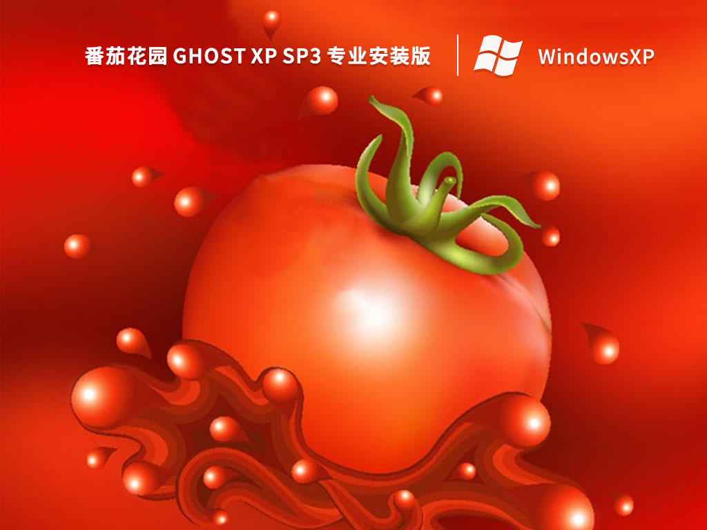 番茄花园 GHOST XP SP3 专业安装版中文正式版_番茄花园 GHOST XP SP3 专业安装版专业版最新版