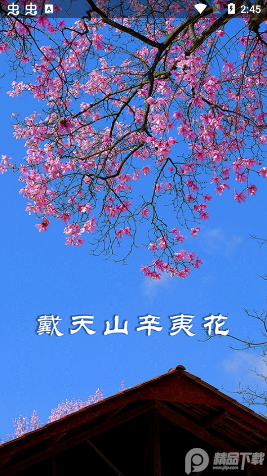 i江油手机版免费版