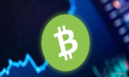 比特大陆BCH持仓成本是多少钱