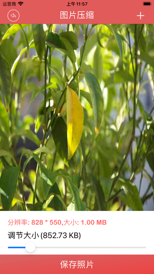 好用小木盒下载安装2024