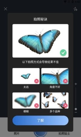 昆虫识别大师下载2024版