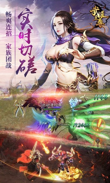 武道至尊手游最新安卓下载