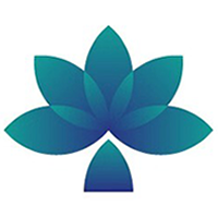 BOOMEX2024最新安卓版